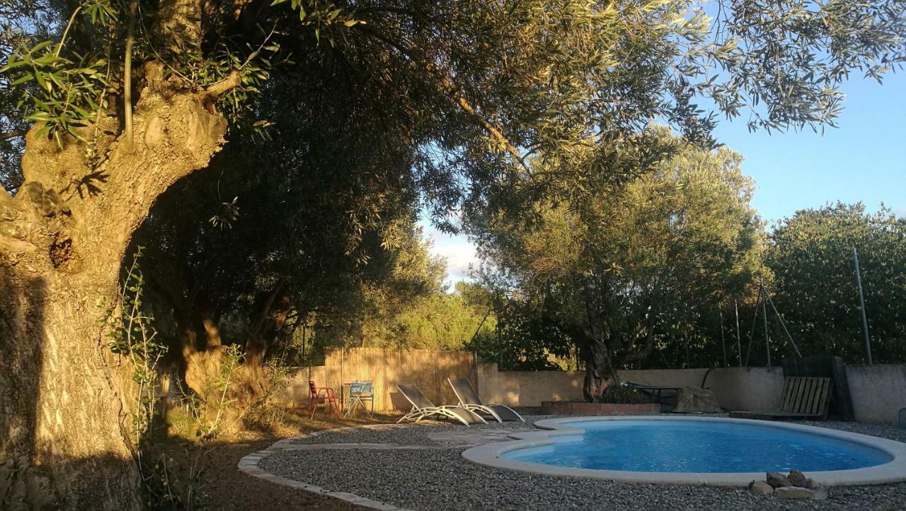 Olesa de Bonesvalls Maset Del Garraf 게스트하우스 외부 사진